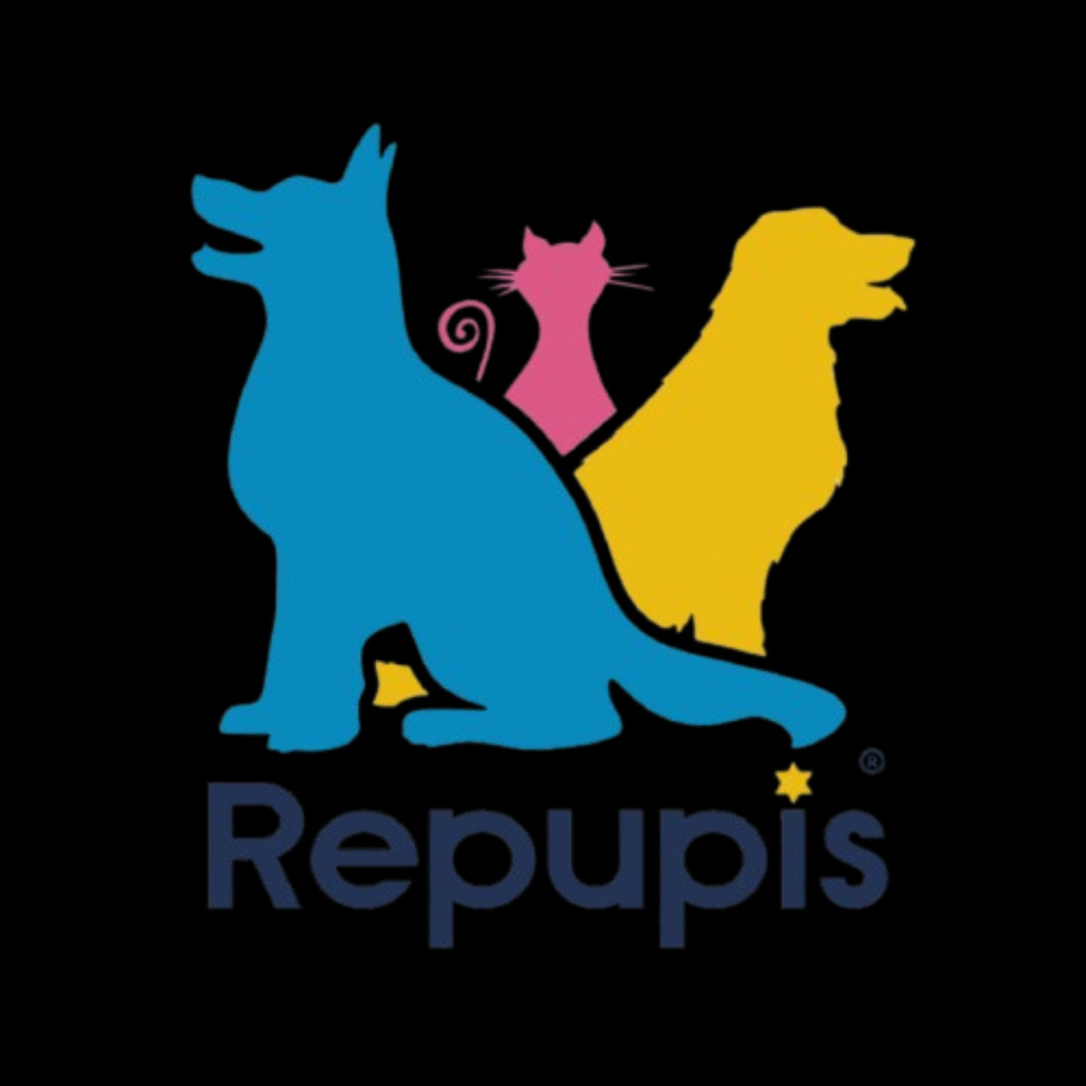 Repupis