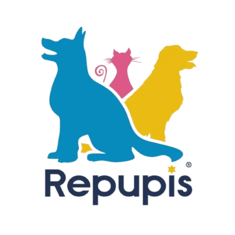 Logo REPUPIS